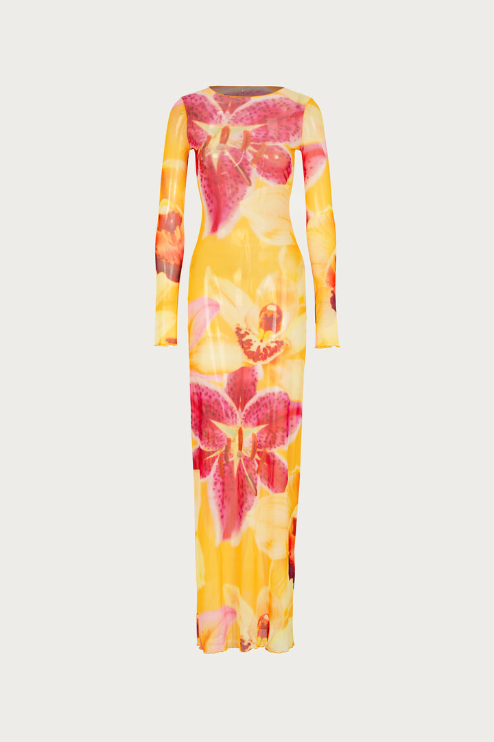Mesh Maxi Dress (Yellow Tropical)