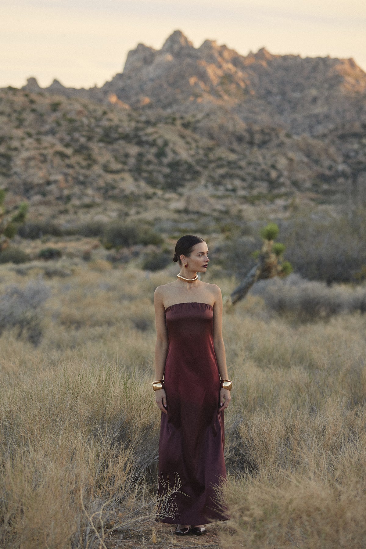 SAME Strapless Draped Maxi | Brown Ombre | Women's Dress SAME Strapless Draped Maxi | Brown Ombre | Women's Dress