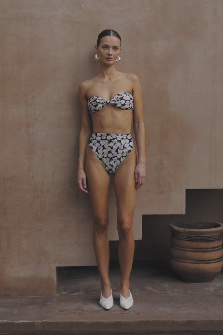 High Rise Bottom (Palm Beach Shell Black/Cream)